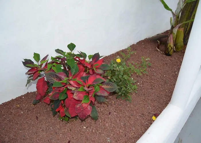 Casa Villalba Holiday home *