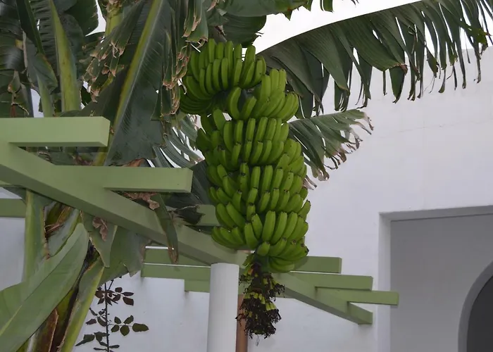 Casa Villalba Holiday home San Bartolome (Las Palmas)